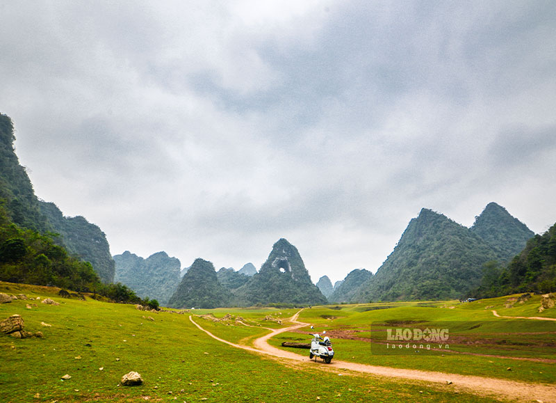 Vào mùa cạn, thảo nguyên xanh cỏ xanh mướt. Ảnh: Sơn Việt.