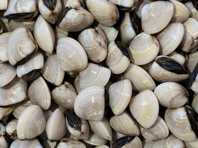 Bổ sung vitamin B12 cho cả gia đình bằng loại thực phẩm này