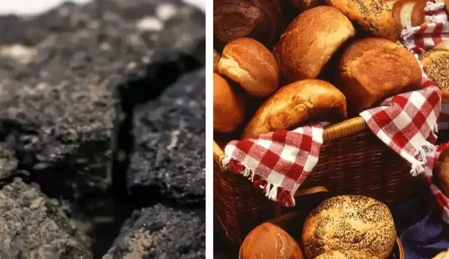 (Ảnh minh họa: timesofindia)