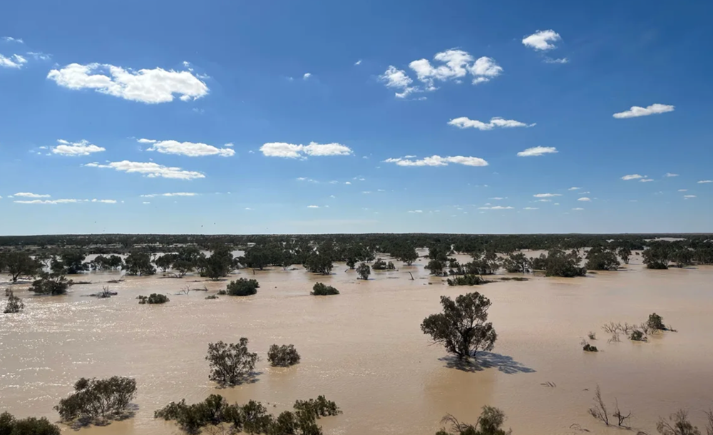 Sức sống “hồi sinh” ở vùng xa xôi khô cằn của Australia thu hút khách du lịch - ảnh 1