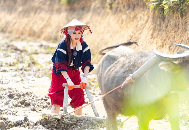 Không còn là một tiểu thư sang chảnh, Ngọc Thanh Tâm đã xuống ruộng chính thức làm nông dân Không còn là một tiểu thư sang chảnh, Ngọc Thanh Tâm đã xuống ruộng chính thức làm nông dân