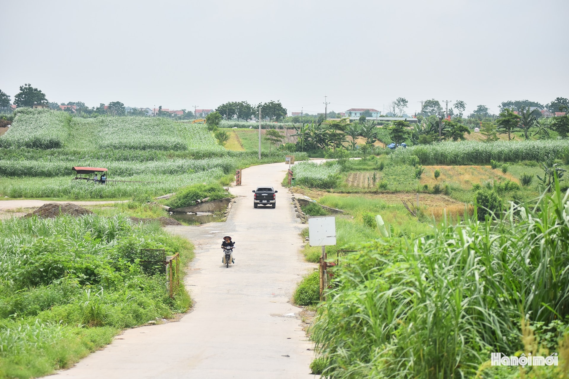Chính vì vậy, bộ máy mới đã xác định bắt tay ngay vào việc, có các phương án cụ thể hỗ trợ người dân, đặc biệt về an sinh xã hội và các chính sách đặc thù. Từng bước đầu tư hạ tầng giao thông giúp Minh Châu phát triển, đồng thời giữ gìn được bản sắc đặc trưng.