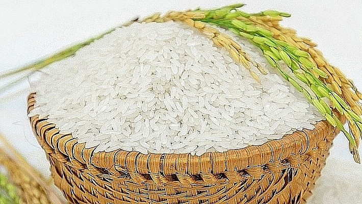 Ngày 5/6: Thị trường lúa gạo ảm đạm, giá vững ở mức cao | Thời báo Tài ...