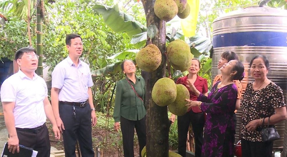 Một hộ dân ở Nam Hà, xã Phúc Lộc phát triển kinh tế từ cây mít. Ảnh: Minh Tuyết