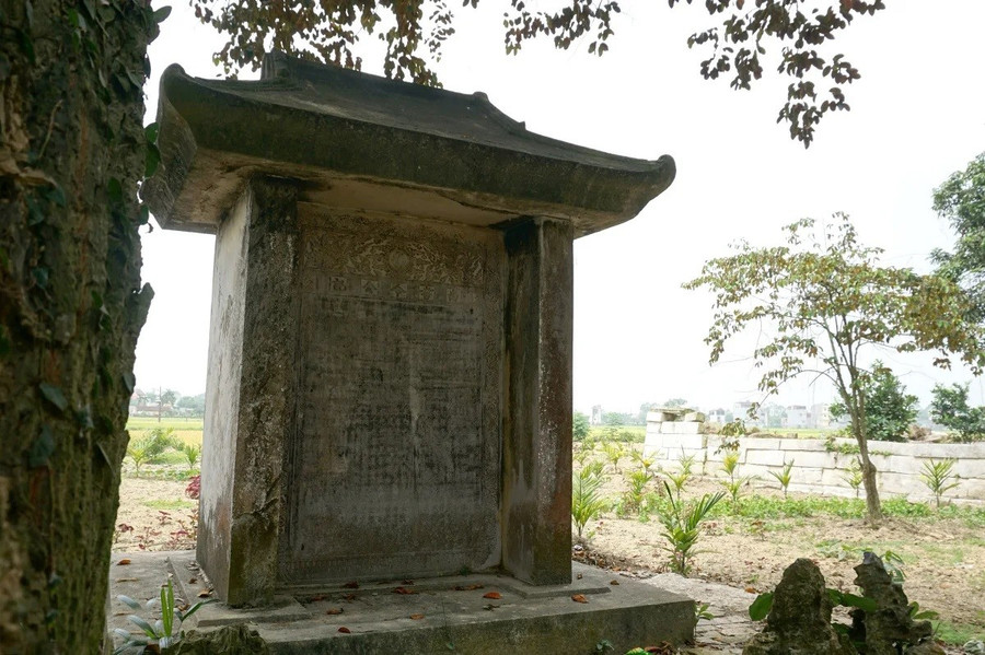 bac-danh-nho-do-cao-duoc-ba-vui-tri-ngo-5.jpg