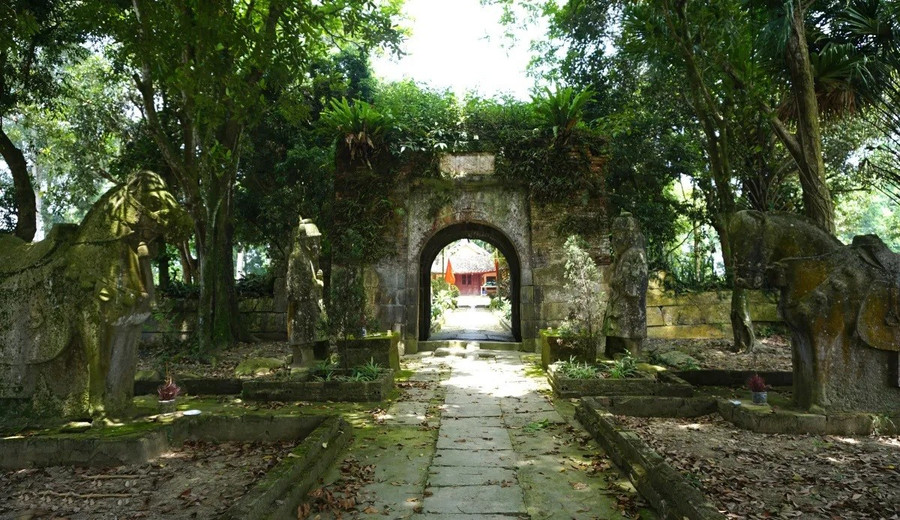 bac-danh-nho-do-cao-duoc-ba-vui-tri-ngo-3.jpg