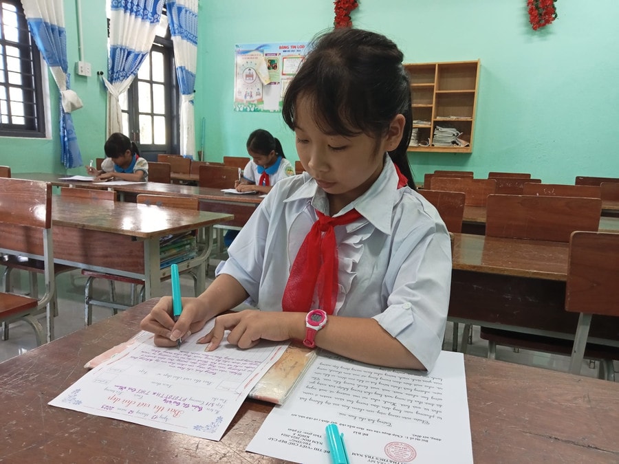 truong-tieu-hoc-thcs-tra-nam.jpg