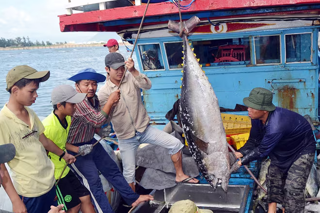 Xuất khẩu thủy sản sang Mỹ có thể bị ảnh hưởng bởi báo cáo cuối cùng của NOAA/NMFS