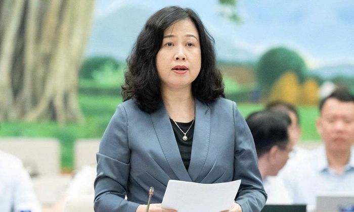 Bộ trưởng Y tế Đào Hồng Lan.