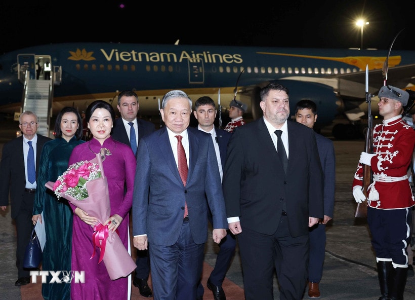 to-lam-5.jpg