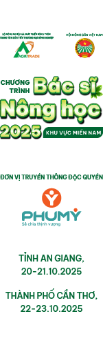 Kinh tế 247