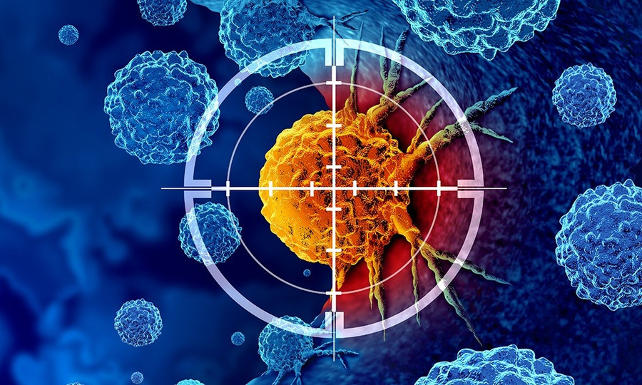 Chiến lược điều trị ung thư mới loại bỏ khả năng thích nghi và kháng trị của tế bào ung thư.