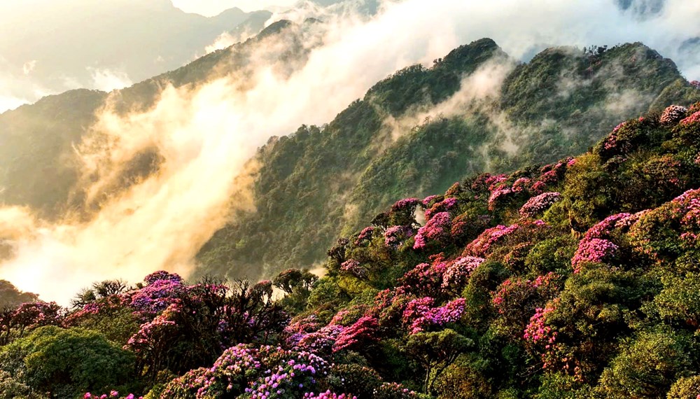 Lai Châu trước cơ hội bứt phá - ảnh 1