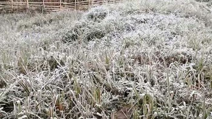 Không khí lạnh khô tràn về, vùng núi cao Bắc bộ có thể xuất hiện sương muối