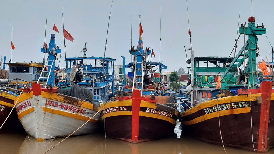 Các tàu cá được gia cố, đảm bảo an toàn khi thời tiết chuyển xấu. z7195665309727-fb7713a86ec0569ba36a0d7c58f78354.jpg