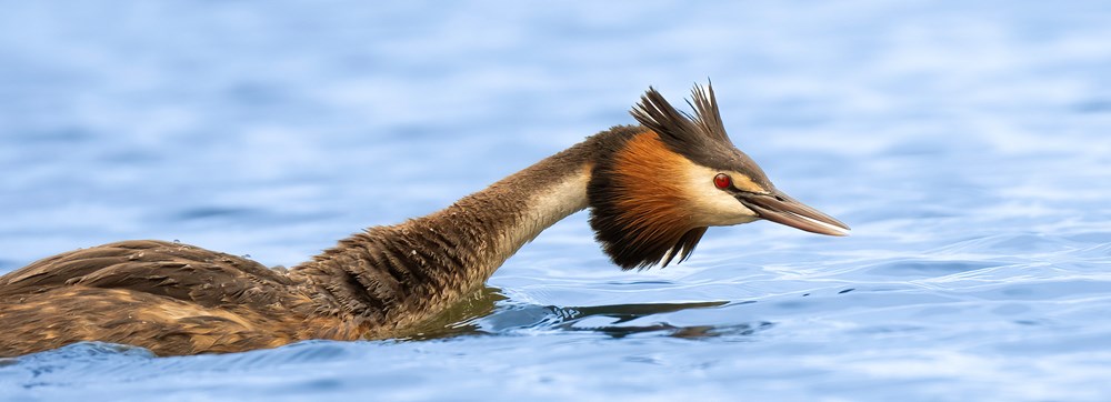 Cùng lữ khách Đỗ Doãn Hoàng đi tìm những “mảng màu rực rỡ biết bay” - ảnh 7