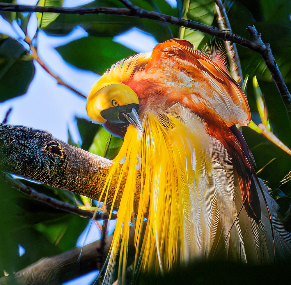 Cùng lữ khách Đỗ Doãn Hoàng đi tìm những “mảng màu rực rỡ biết bay” - ảnh 3