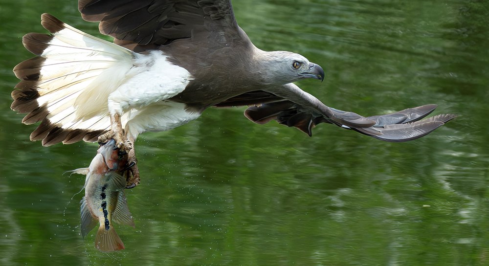 Cùng lữ khách Đỗ Doãn Hoàng đi tìm những “mảng màu rực rỡ biết bay” - ảnh 9