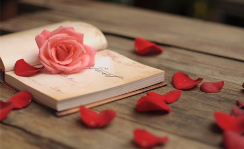 Xử Nữ hãy quẳng đi những ưu tư, sợ hãi, Thiên Bình nhận nhiều tin vui ngày 22/12