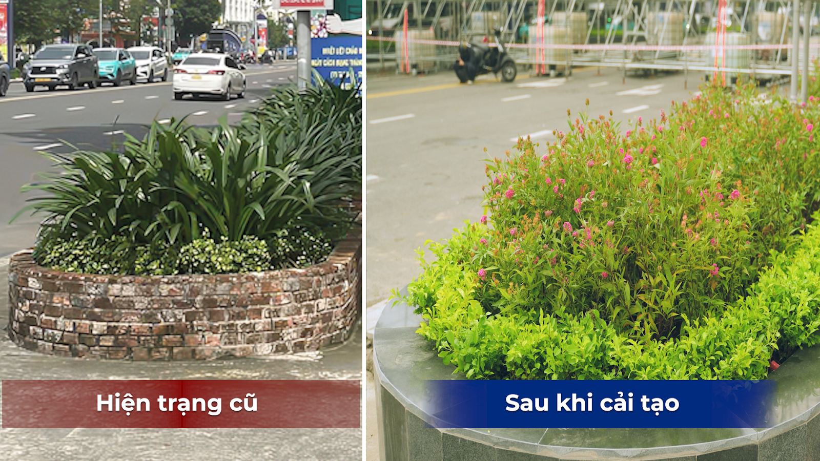 Dải phân cách được lát đá, thành bồn cây ốp đá granite xung quanh, trồng cây nhiều màu tạo nên sự sinh động cho khu vực 2 bên tuyến đường.