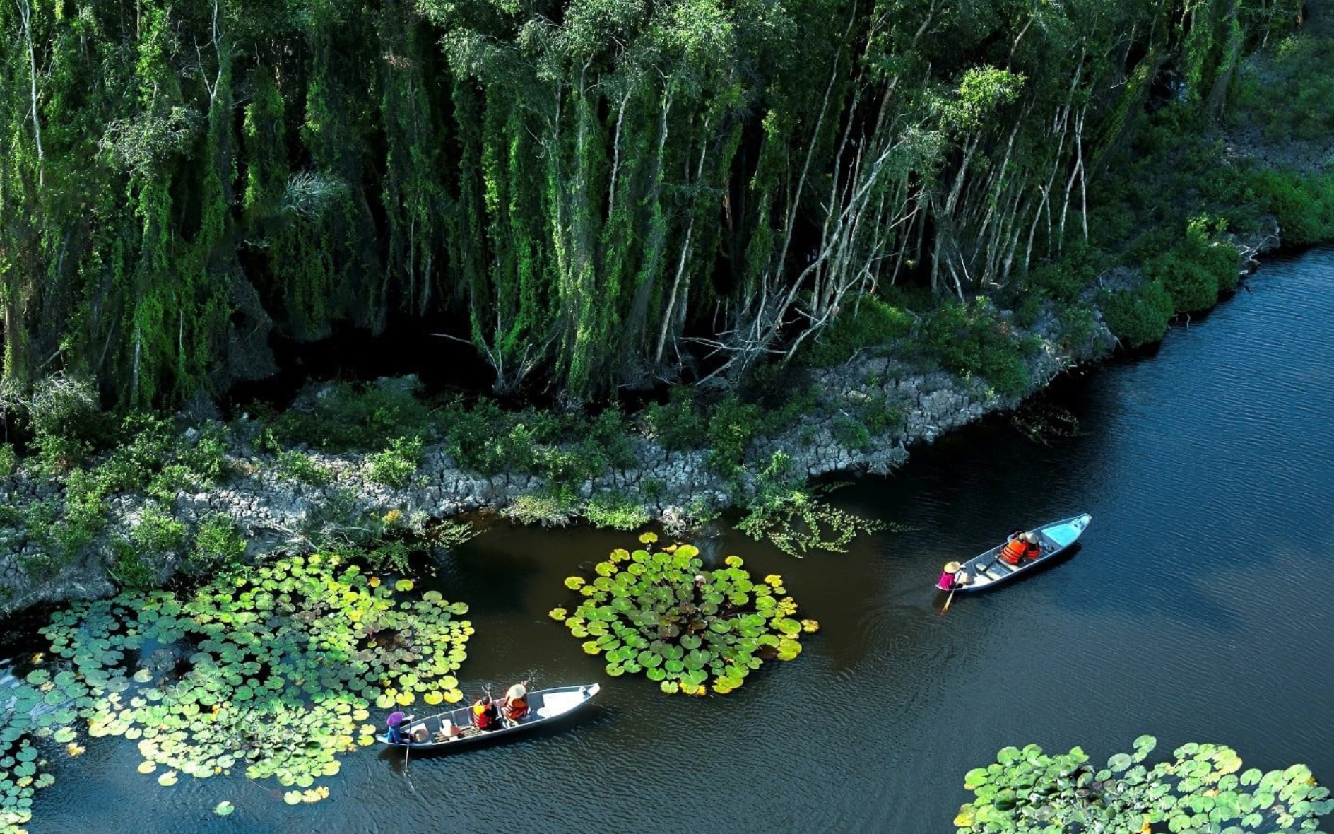 Ảnh màn hình 2026-02-13 lúc 07.08.14