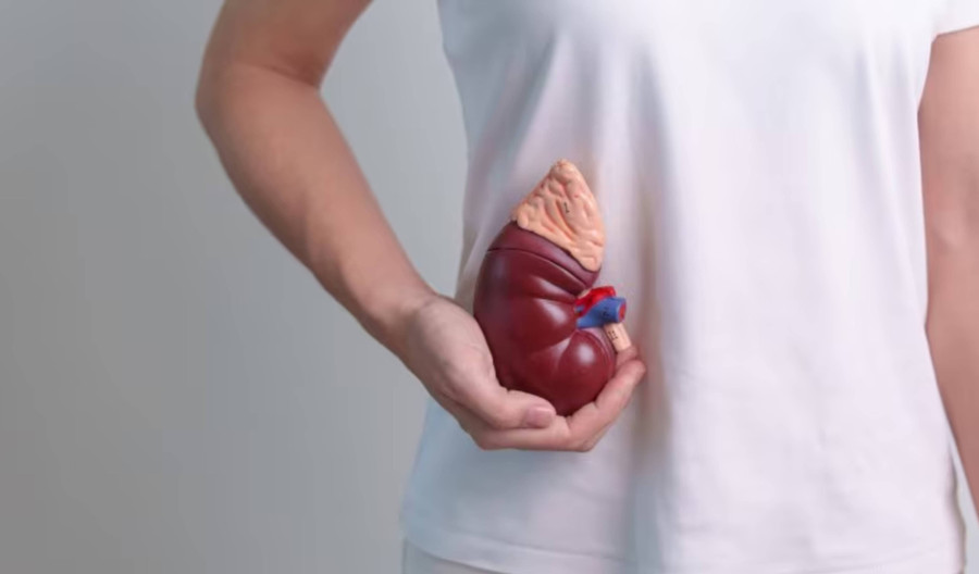 Bệnh thận thường phát triển âm thầm theo thời gian. (Ảnh: ITN).