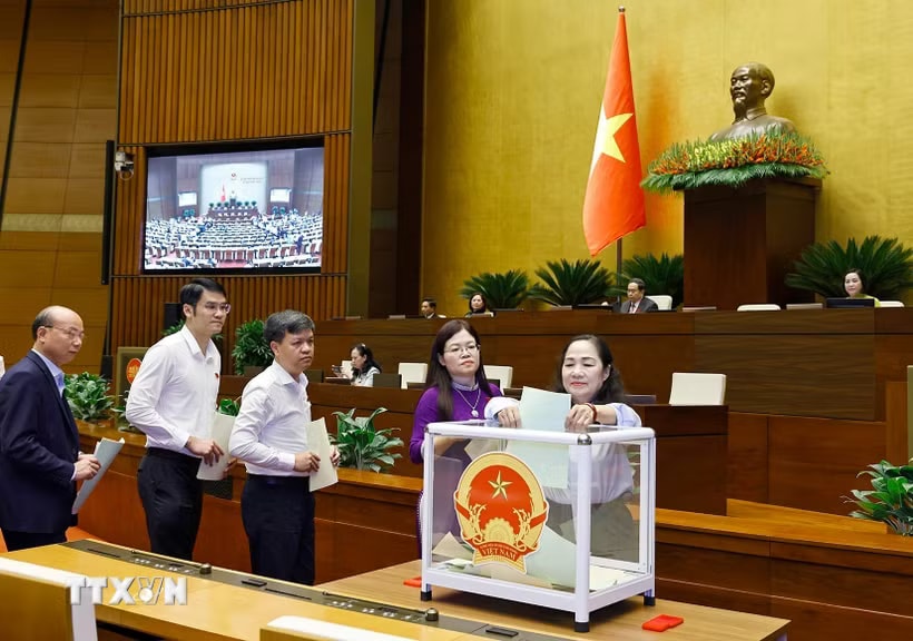 Đại biểu Quốc hội bỏ phiếu phê chuẩn Thẩm phán Tòa án nhân dân Tối cao, Phó Thủ tướng Chính phủ, Bộ trưởng và thành viên khác của Chính phủ. (Ảnh: Doãn Tấn/TTXVN)