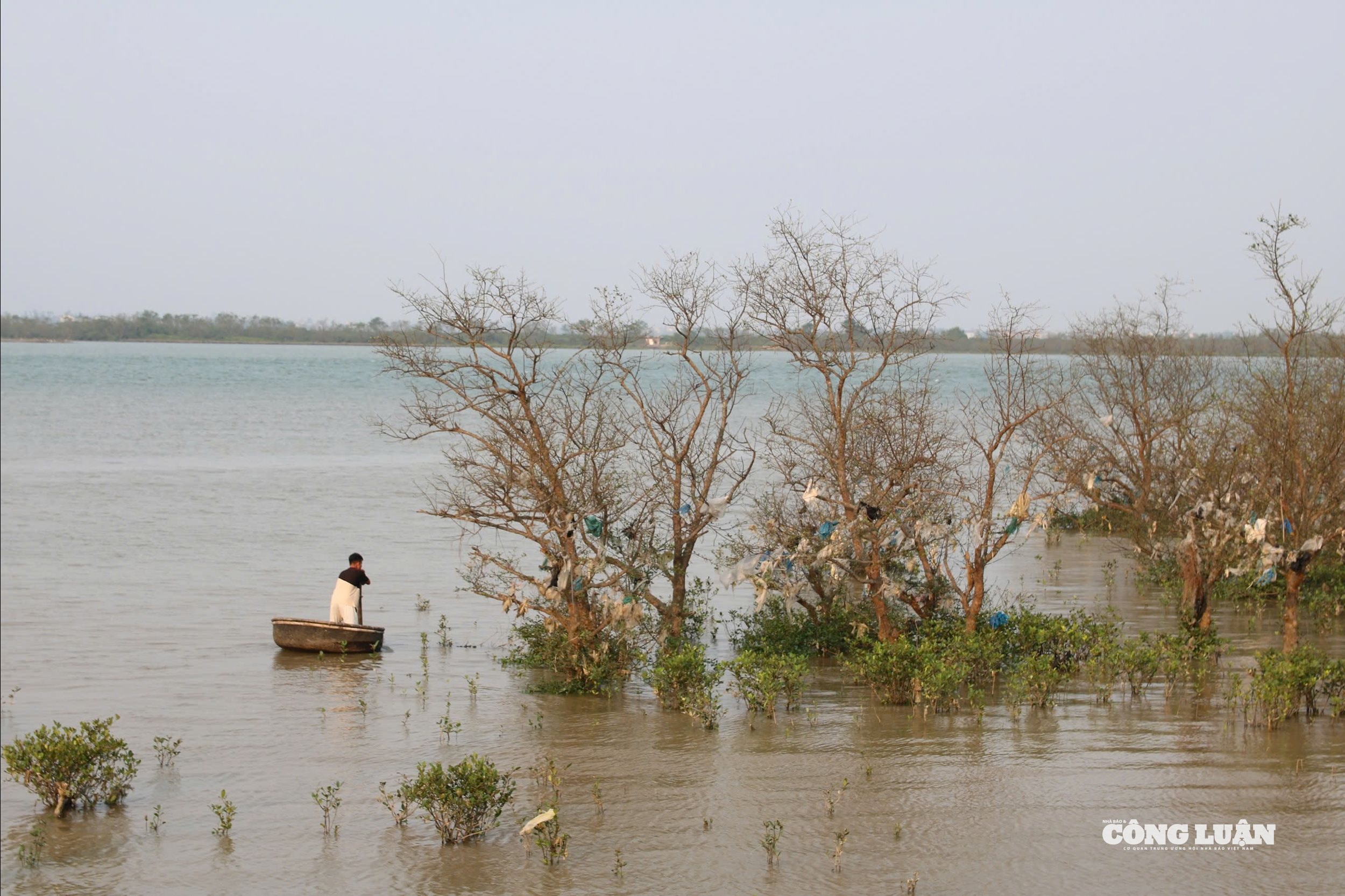 Rác thải rắn còn đe dọa đến sự đa dạng sinh học và nguồn lợi thủy sản trong khu vực