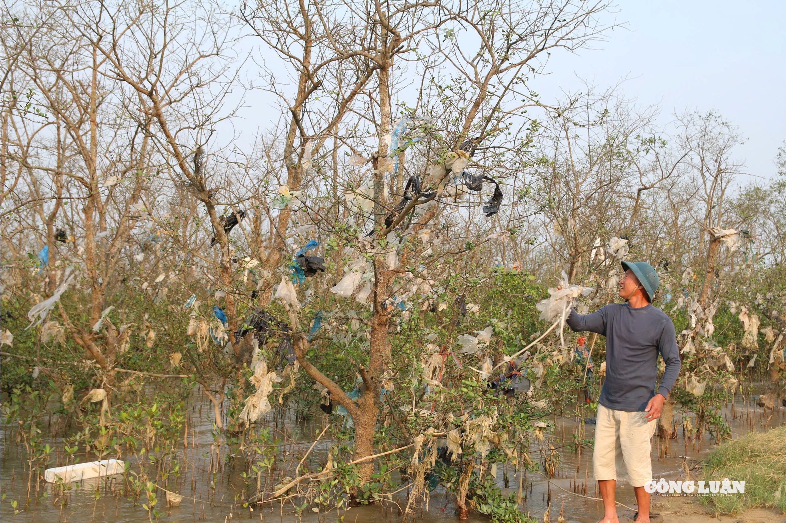 Khu rừng bần ven sông Lam đang bị “ngộp thở” bởi rác thải sau mỗi đợt mưa lũ.