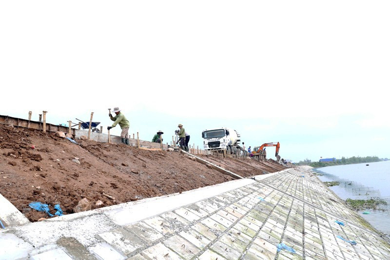 Thủ tướng yêu cầu ưu tiên nguồn lực sửa chữa, nâng cấp đê điều, hồ đập trước mùa mưa lũ. Ảnh: Ngọc Ánh bv-de-bien.jpg