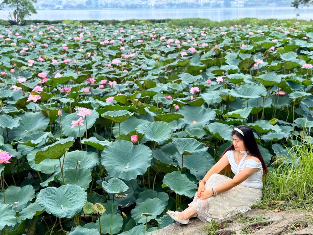 Bạn trẻ chụp hình bên những bông hoa sen tuyệt đẹp, lưu lại khoảnh khắc đẹp nhất của cuộc sống. Ảnh: Đình Trung 2845da3b-2ff1-44a9-a91d-2f89eac4c477-1-201-a.jpg