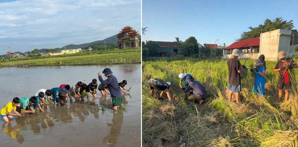 Lớp học cấy lúa, gặt lúa của anh Phương gây “bão” mạng những ngày qua (ảnh NVCC) 4.jpg