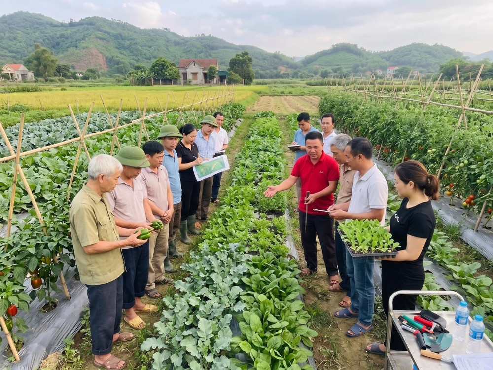 Công tác khen thưởng theo hướng thực chất, hướng mạnh về cơ sở, ưu tiên người lao động trực tiếp, nhà khoa học, doanh nghiệp... có mô hình hay, đột phá, lan tỏa cao. Ảnh: Đinh Trúc 1.jpg