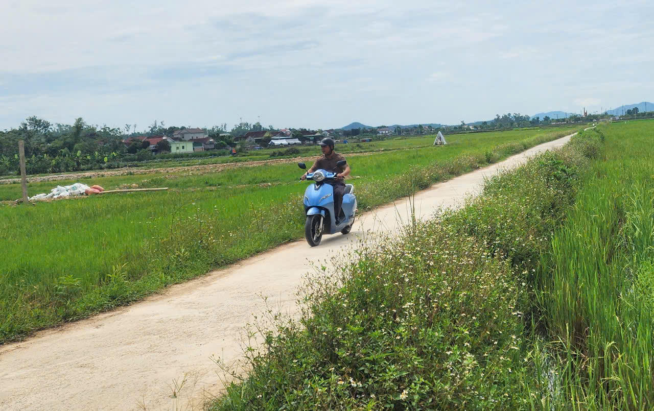 Một tuyến đường giao thông nội đồng.
