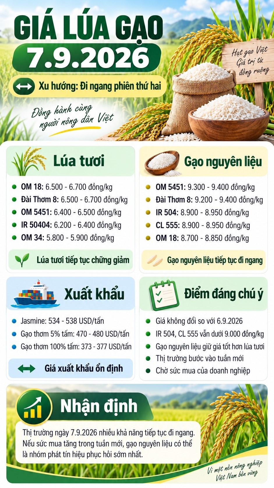 Giá lúa gạo hôm nay 7.9: Đi ngang phiên thứ hai, chờ lực mua mới - ảnh 3