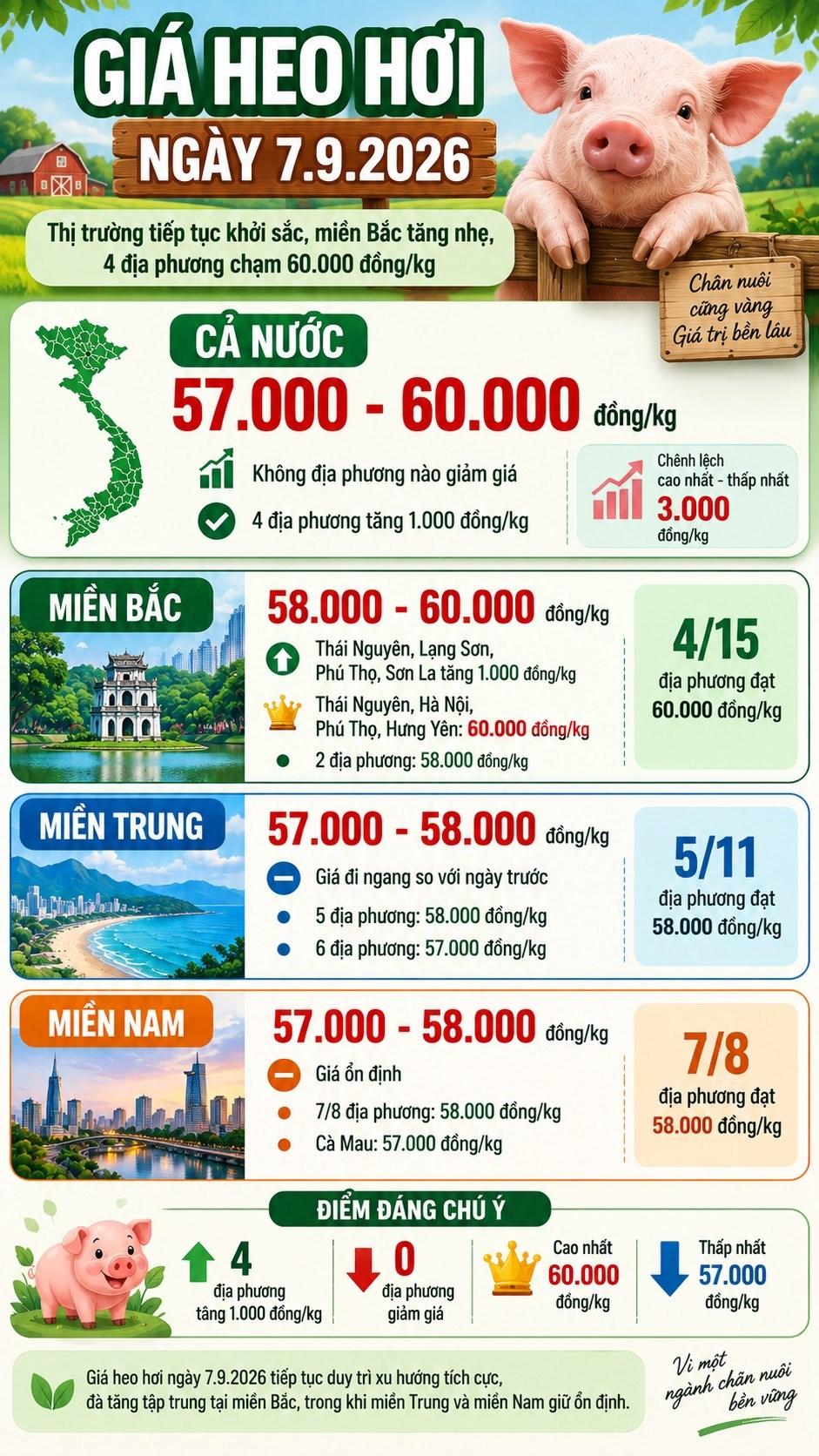 Giá heo hơi hôm nay 7.9.2026: Miền Bắc tiếp tục tăng nhẹ - ảnh 3