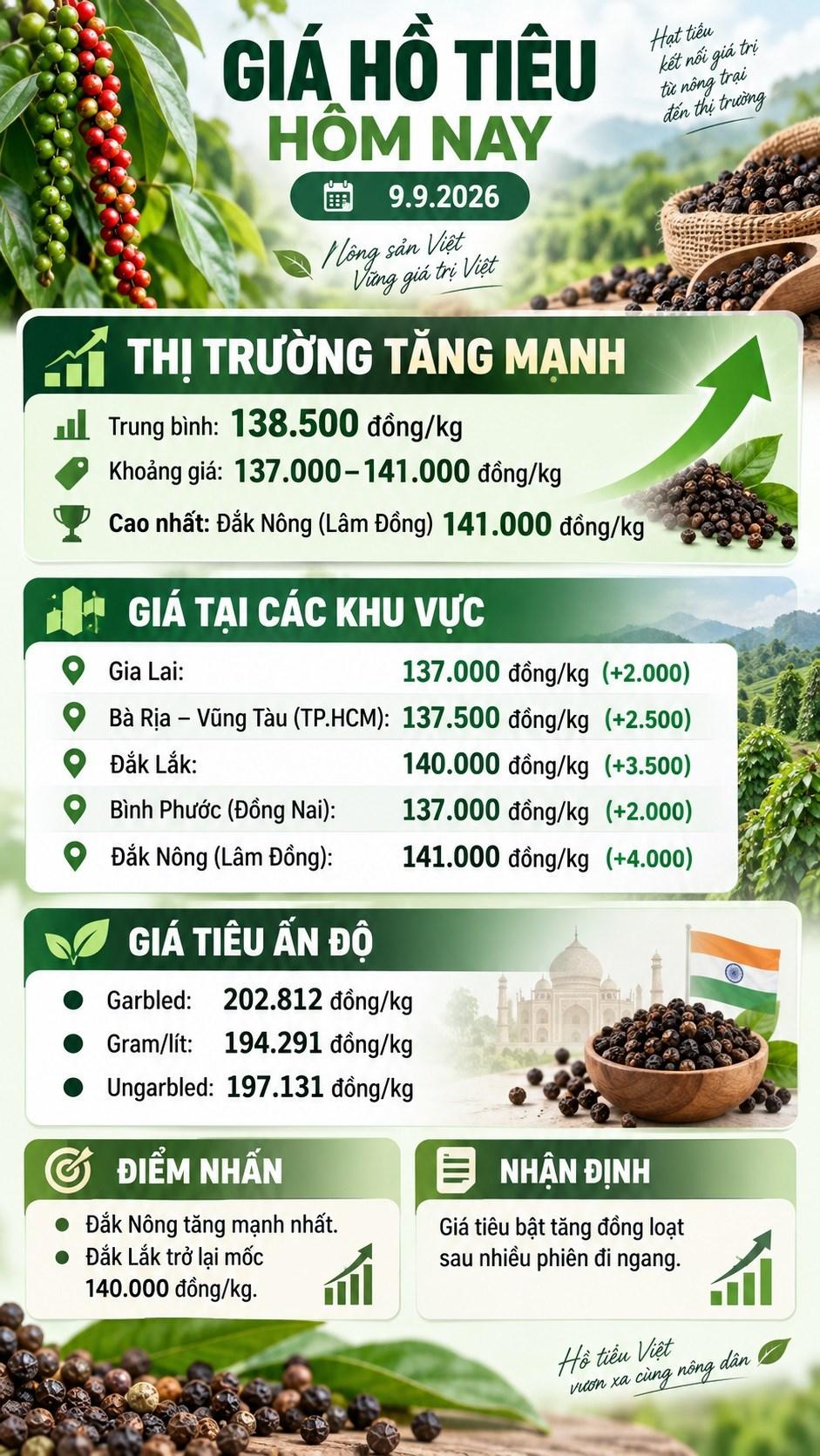 Giá tiêu hôm nay 9.9 tăng mạnh ở tất cả vùng trọng điểm - ảnh 3