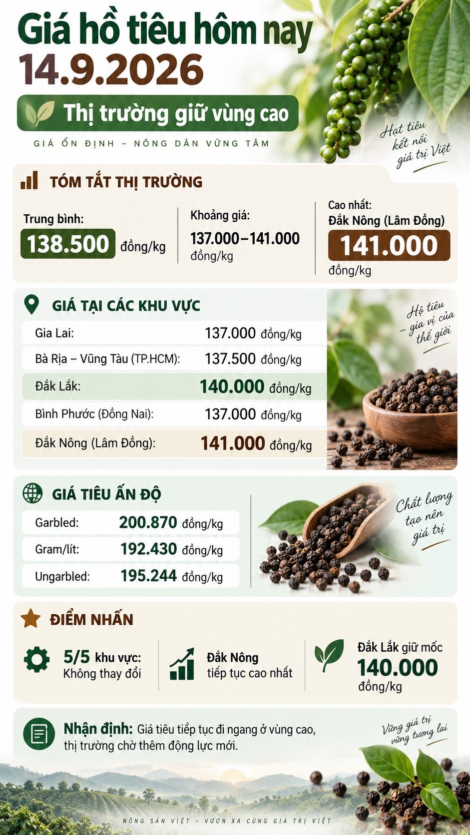 Giá hồ tiêu hôm nay 14.9 giữ vùng cao, thị trường chờ tín hiệu mới - ảnh 3