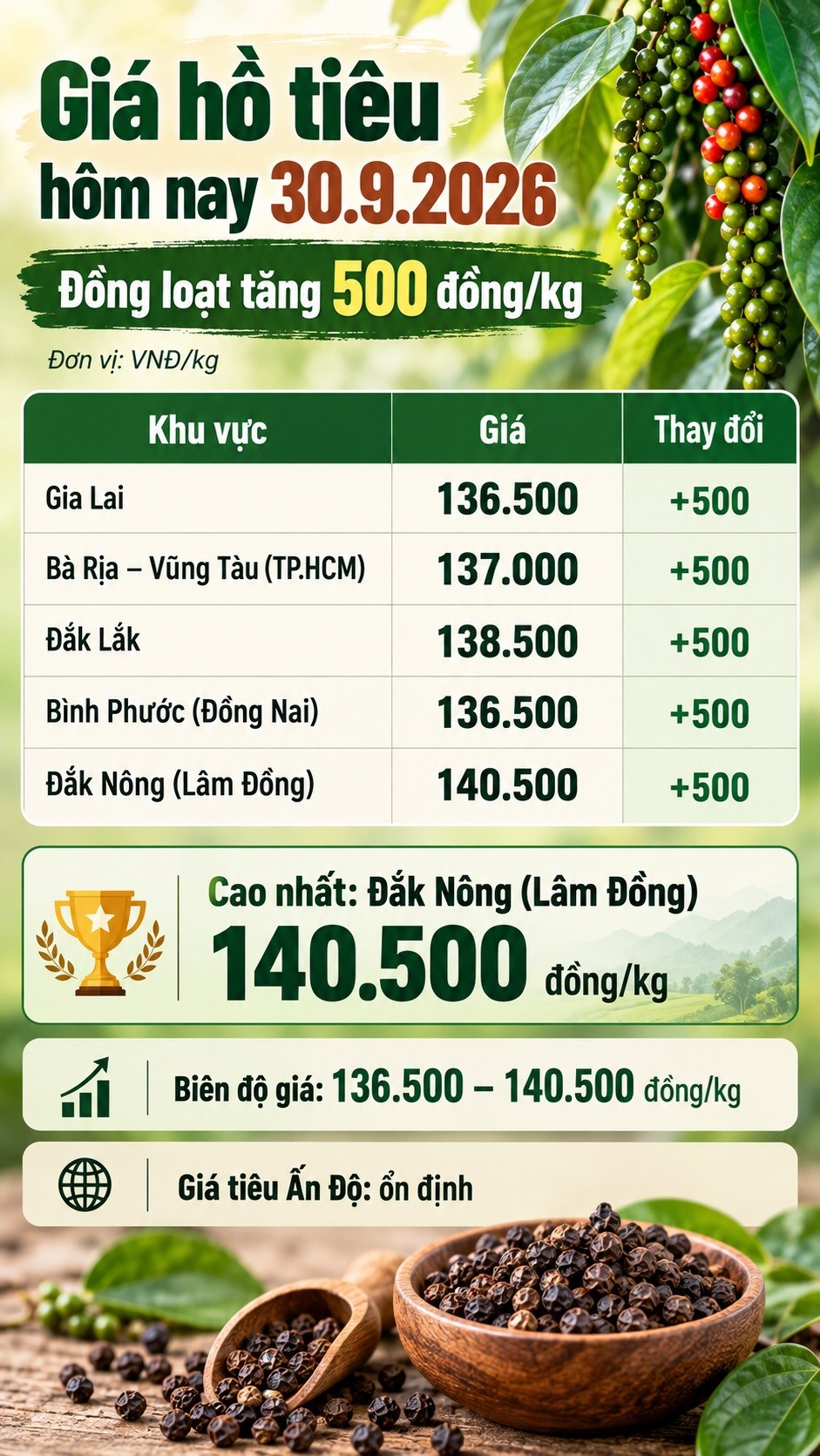 Giá hồ tiêu hôm nay 30.9.2026: Đồng loạt tăng 500 đồng/kg - ảnh 3