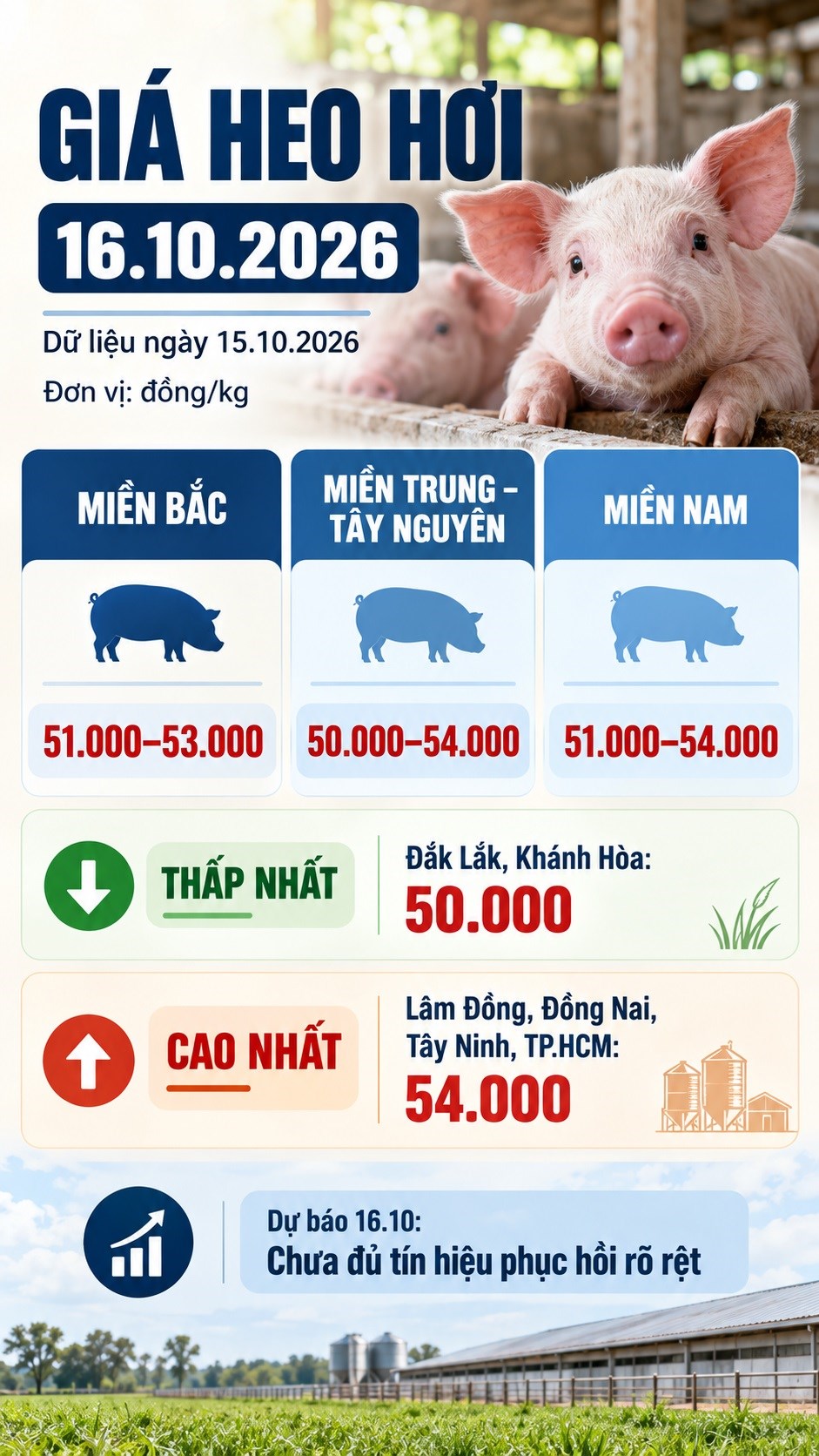 Giá heo hơi hôm nay 16.10.2026: Đà giảm có chững lại? - ảnh 3