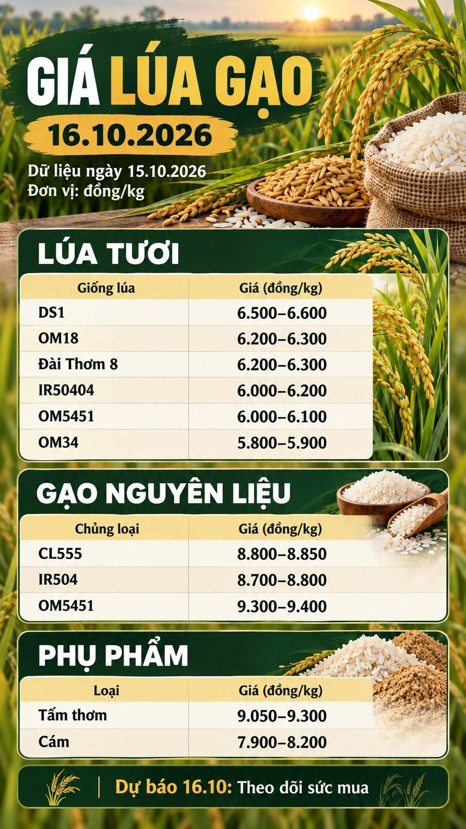Giá lúa gạo hôm nay 16.10.2026: Sức mua vẫn là yếu tố cần theo dõi - ảnh 3