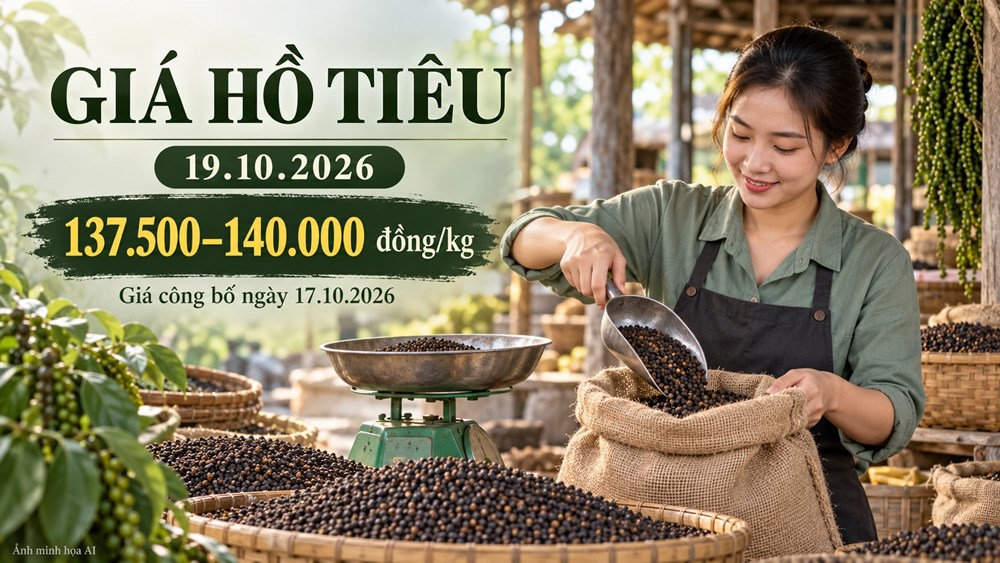Giá hồ tiêu hôm nay 19.10.2026: Nguồn cung quốc tế tác động ra sao? - ảnh 1