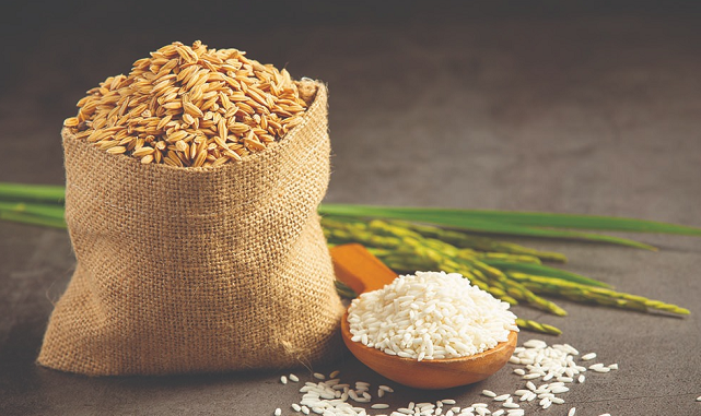 Giá lúa gạo hôm nay 14/8: Gạo nguyên liệu ĐBSCL giảm 150 đồng/kg